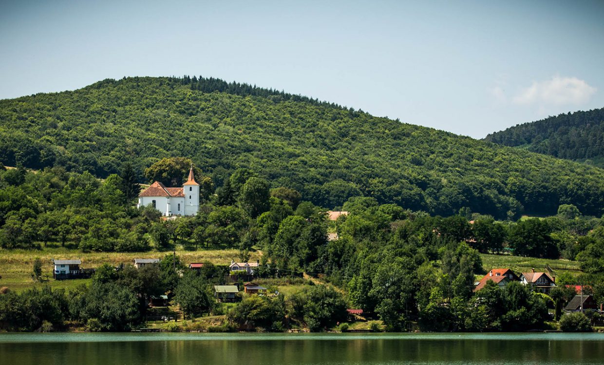 Pădureni KnightKing